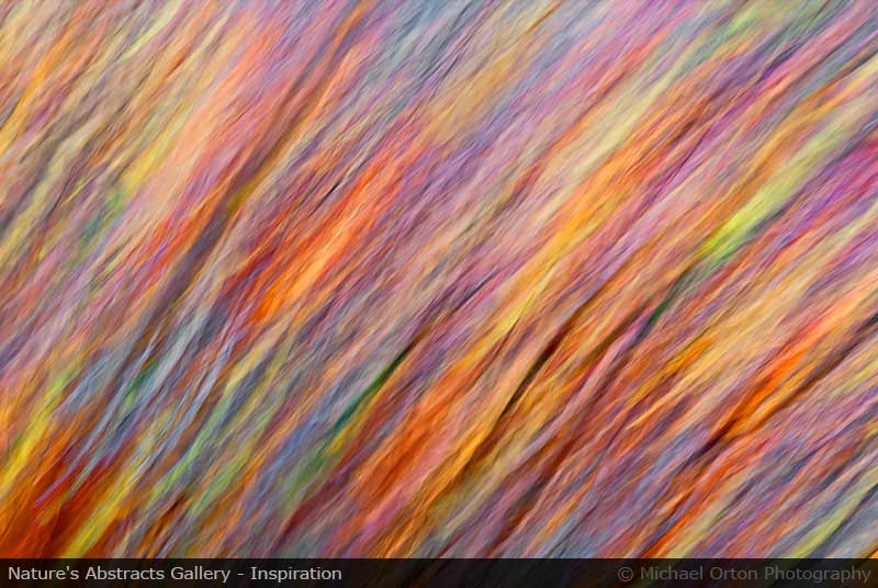 Nature's Abstracts Gallery - Inspiration
