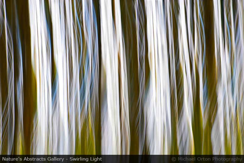 Nature's Abstracts Gallery - Swirling Light