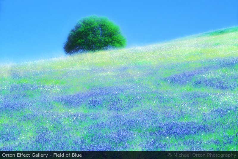Orton Effect Gallery - Field of Blue